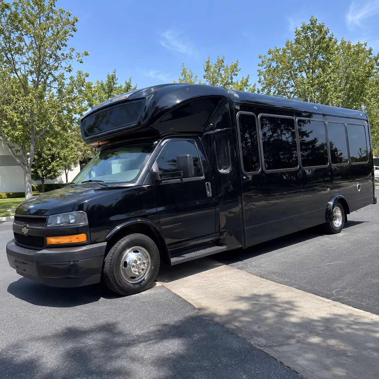 tampa 15 passenger party bus