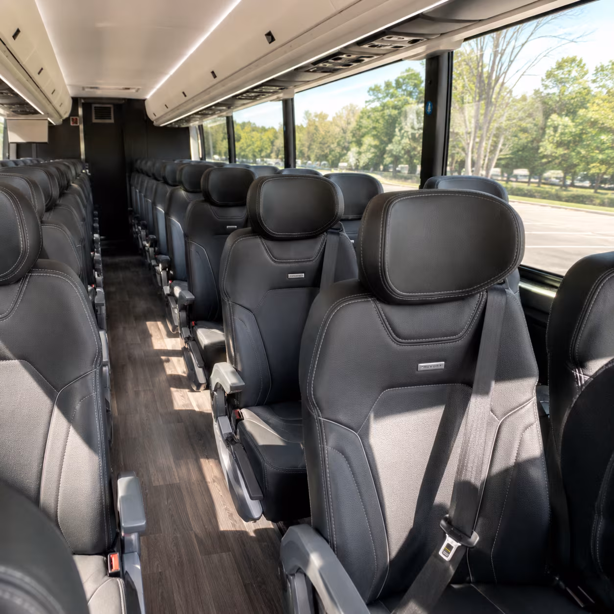 tampa long distance transportation