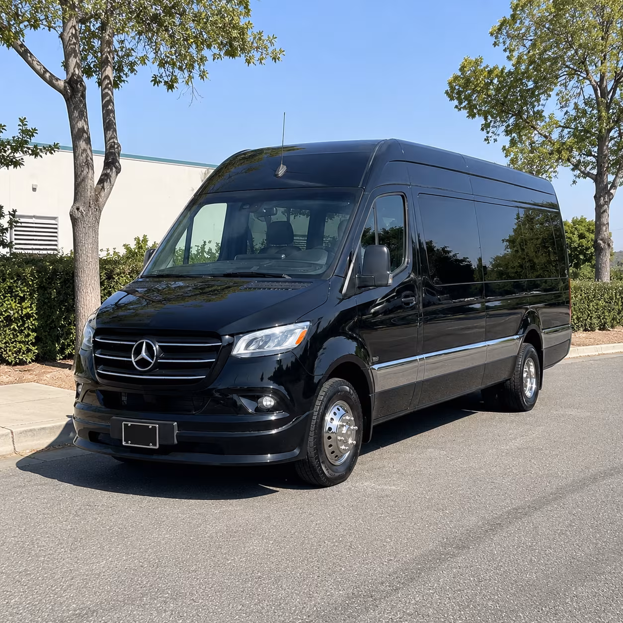 tampa prom transportation onboard seating
